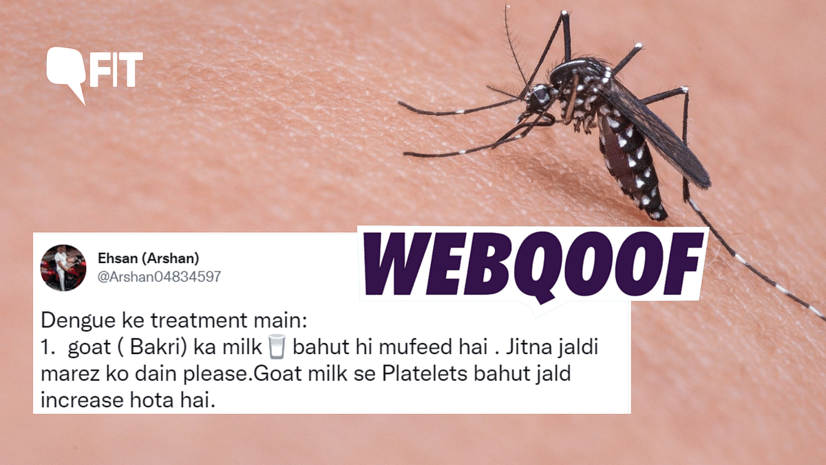 Fact-Check: Can Having Goat's Milk Help in Treatment of Dengue?