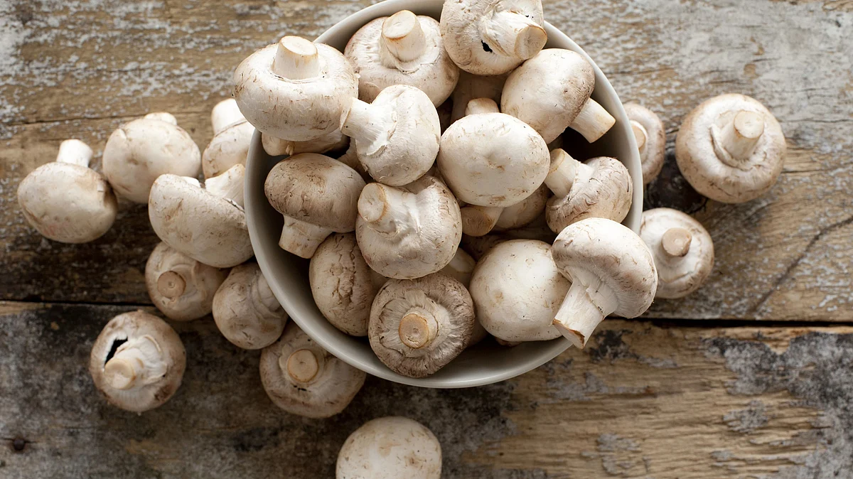 <div class="paragraphs"><p>Mushrooms strengthen the body from inside.</p></div>