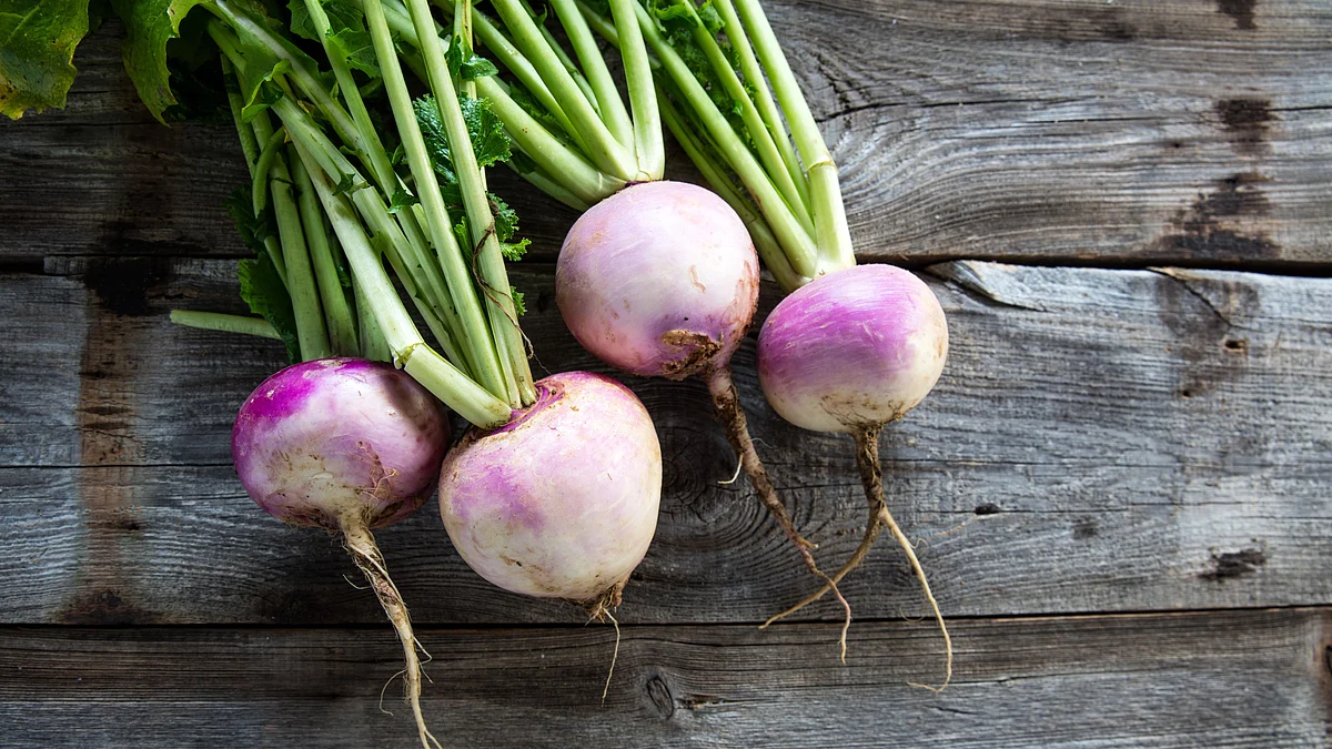 <div class="paragraphs"><p>Turnip greens can help to beat cancer.</p></div>