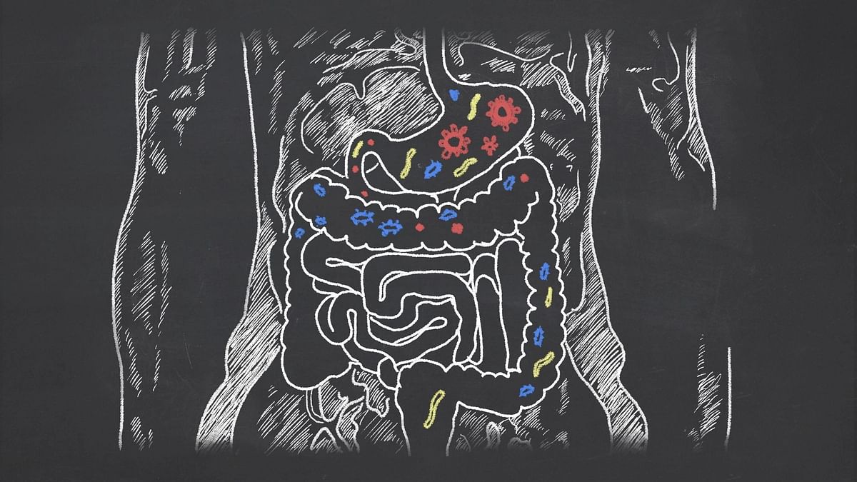 Gut-Microbiome Linked to Higher Risk of Long COVID: Study