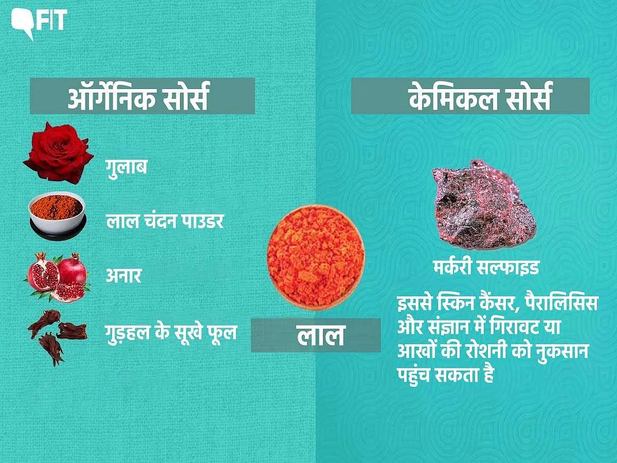 फूलों से लेकर जहरीले केमिकल- अब कैसे तैयार होते हैं होली के रंग