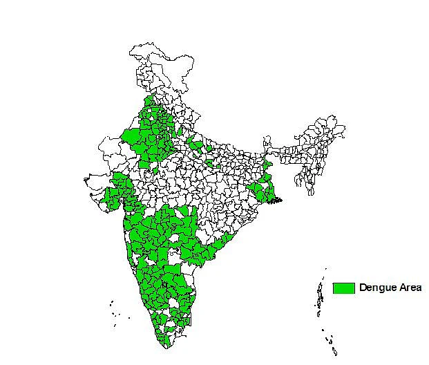 कैसे करें डेंगू की रोकथाम? इन चीजों पर जरूर दें ध्यान
