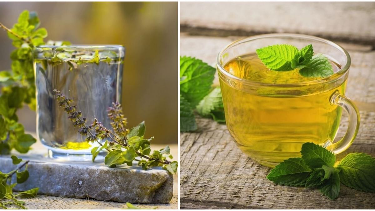 7 Herbal Teas to Stay Healthy in Monsoon 2019: बरसात के इस मौसम में आपको हेल्दी रखेंगे ये 7 हर्बल चाय