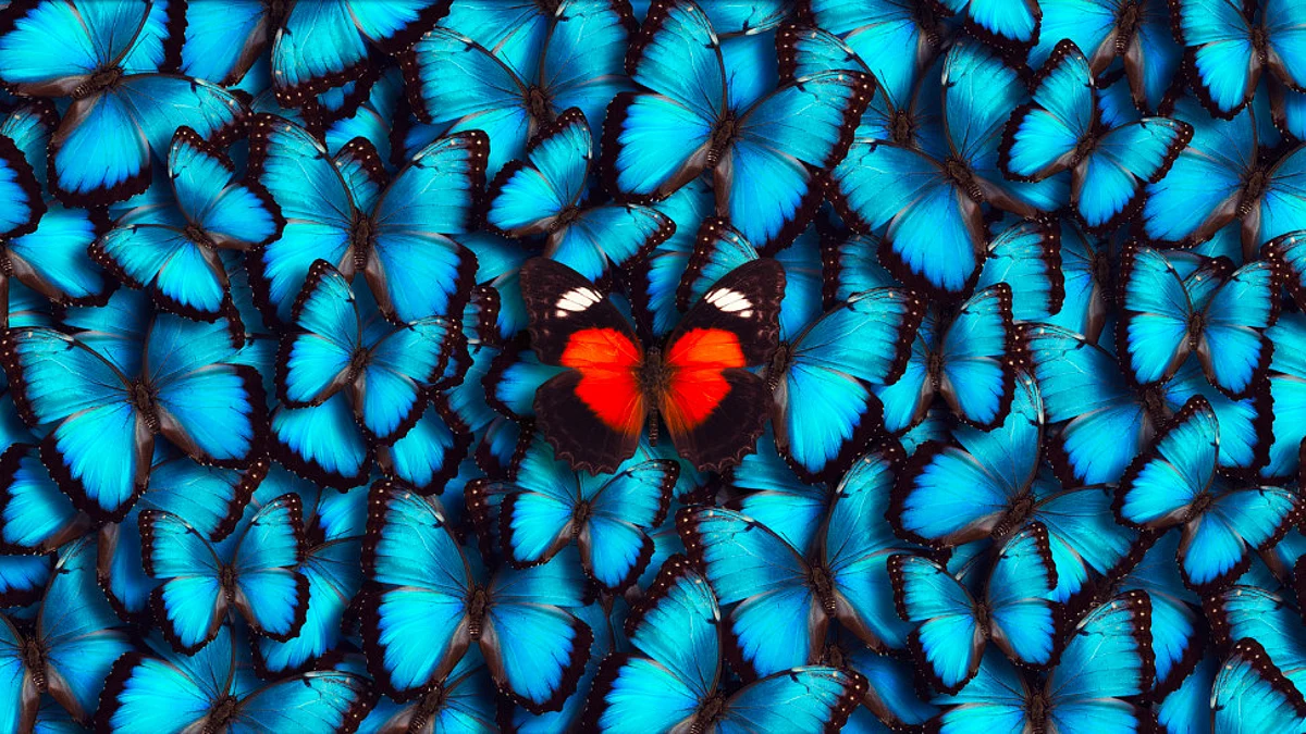Butterfly phobia is called Lepidopterophobia.