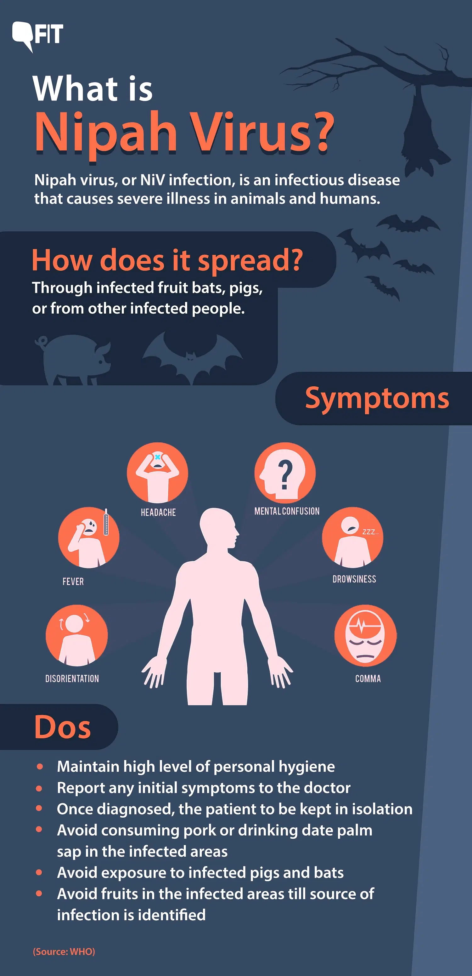 Explained: What Is Nipah Virus, Behind The Death Of A 12-year-old In Kerala