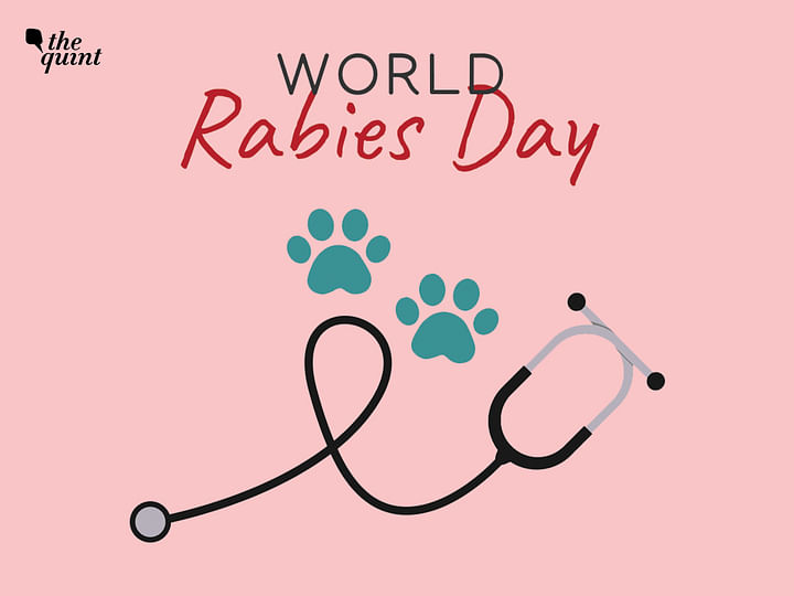 speech on world rabies day