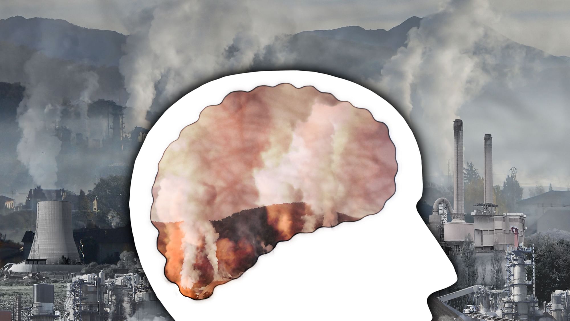 World Stroke Day 2021: Decoding The Link Between Air Pollution And Stroke