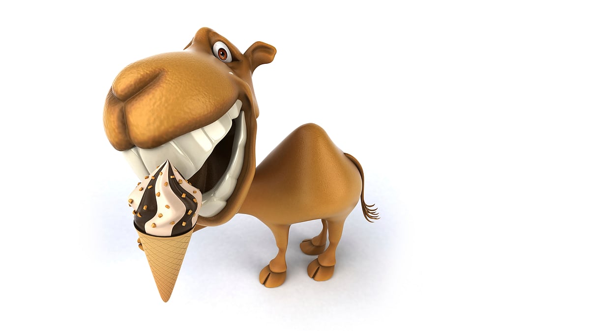 Fancy Some Camel Milk IceCream? Head to Dubai