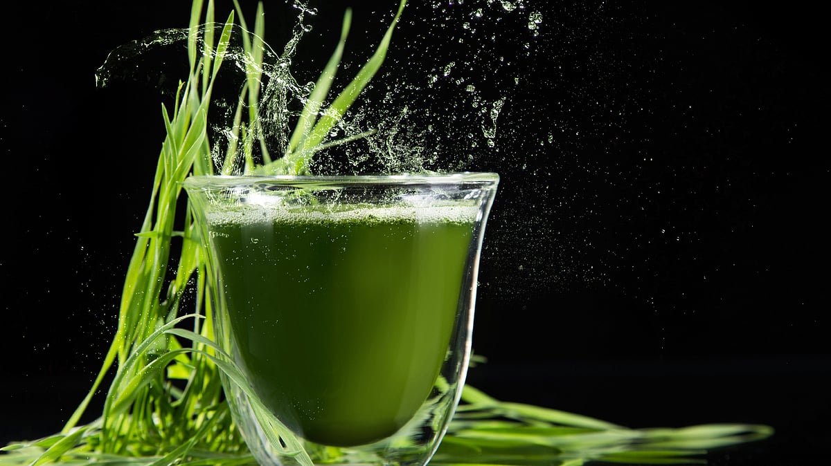 Spirulina An Algaebased Superfood to Beat Hypertension