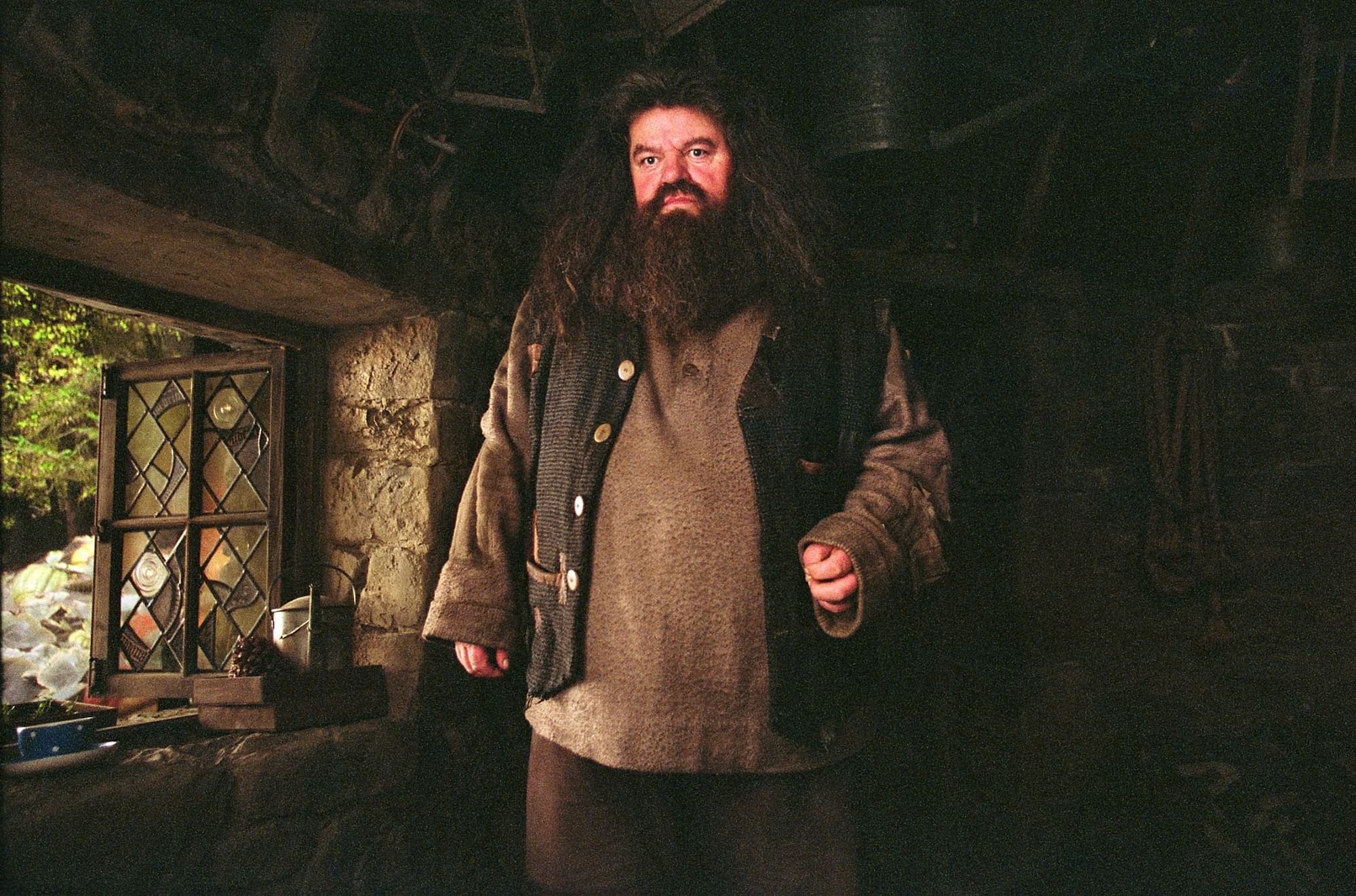 hagrid rubeus harry potter