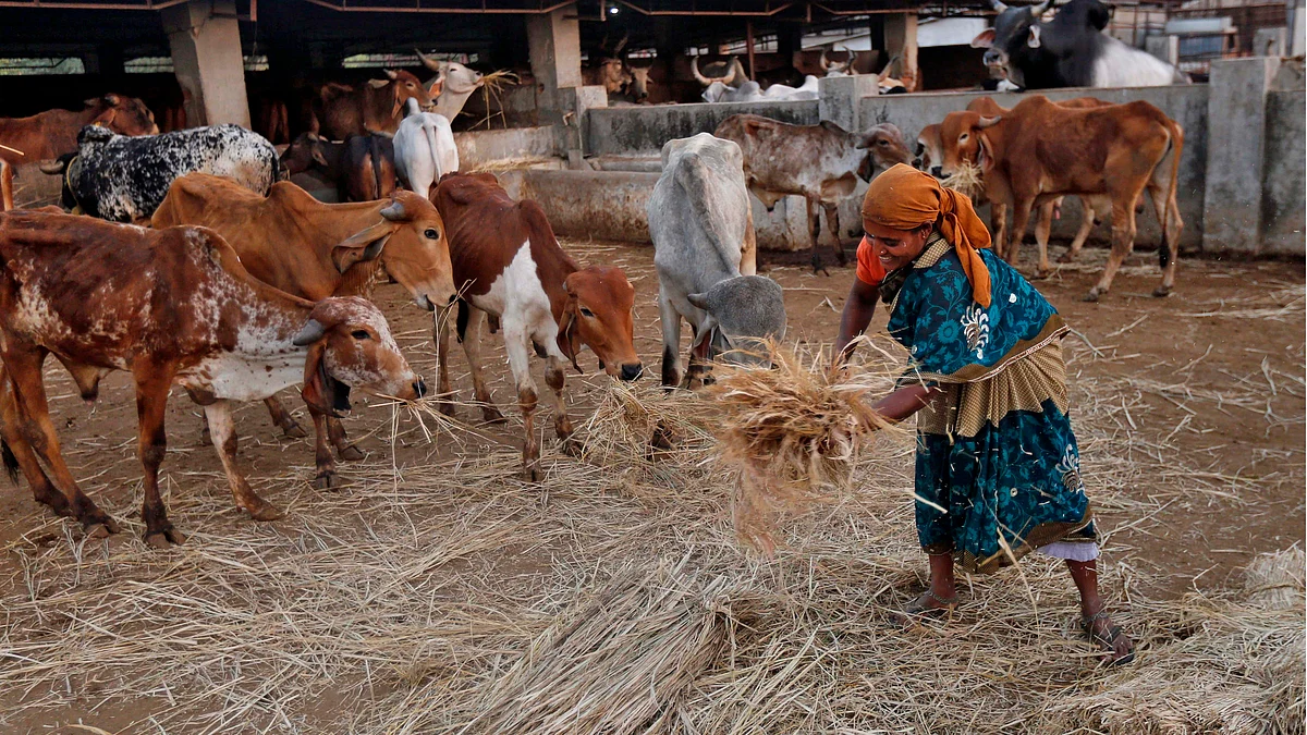 Go Raksha Gau Raksha Dal