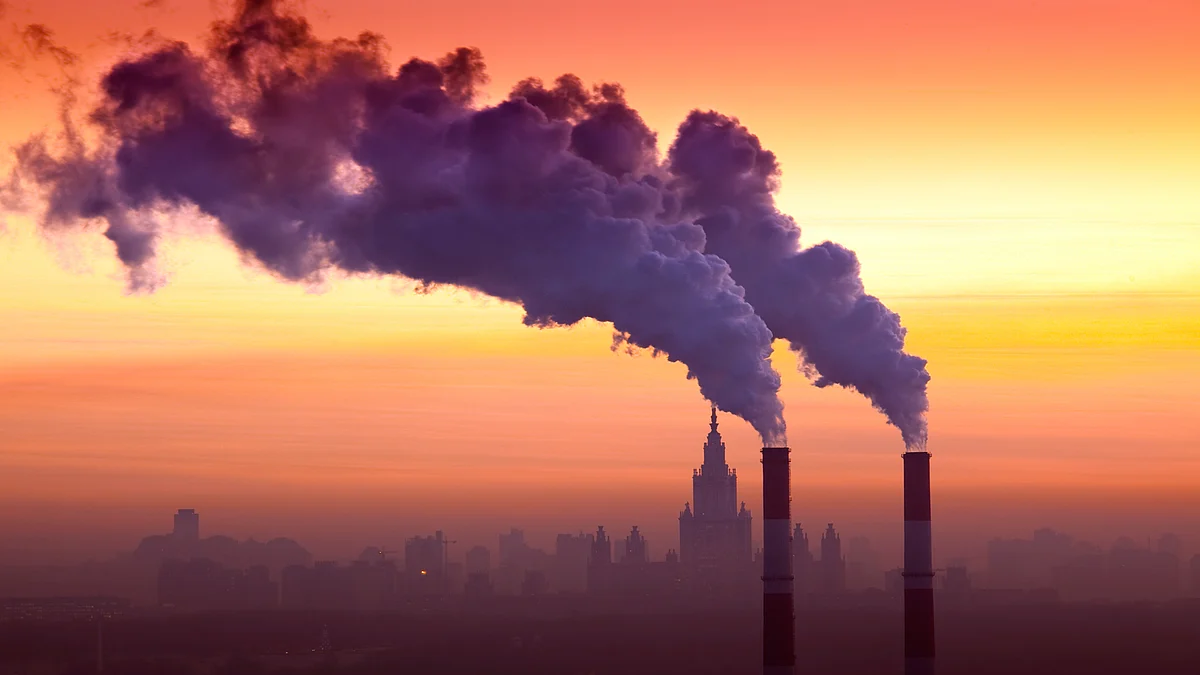 Know the Polluter Pays Principle: Who Pays and How Much?