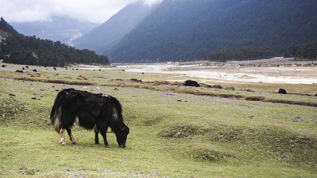 Sikkim Day: How Sikkim Became a Part of India