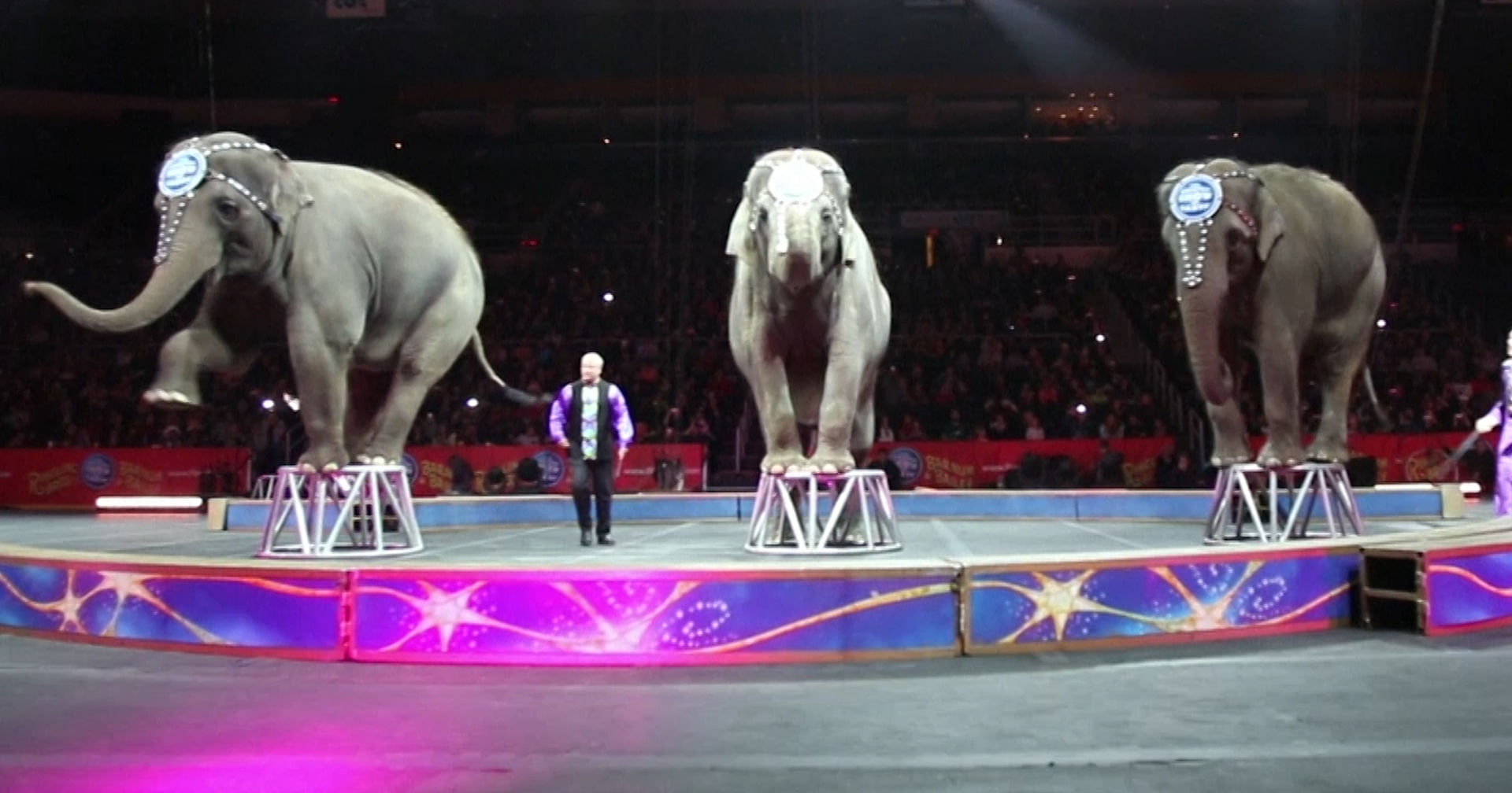 American Circus Ringling Bros Bids Farewell To Its Elephants