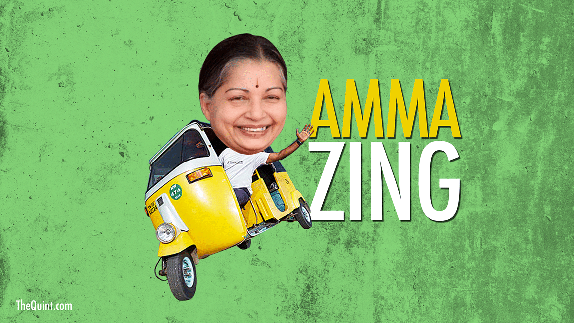 six amma zing memes to sum up the 2016 assembly election results six amma zing memes to sum up the