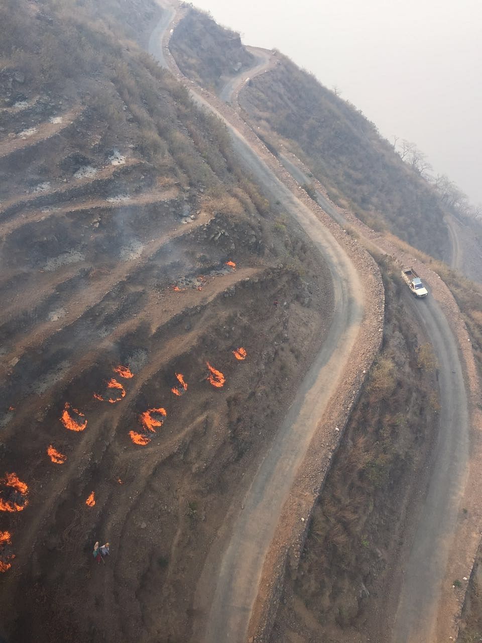 After Uttarakhand, Forest Fire Now Rages In Himachal And J&K