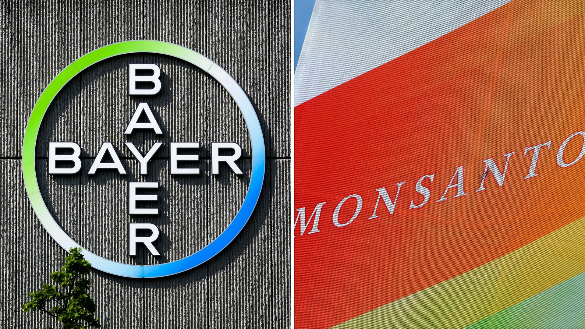 Bayer Acquires Monsanto In Largest All-Cash Deal Worth $66 Bn