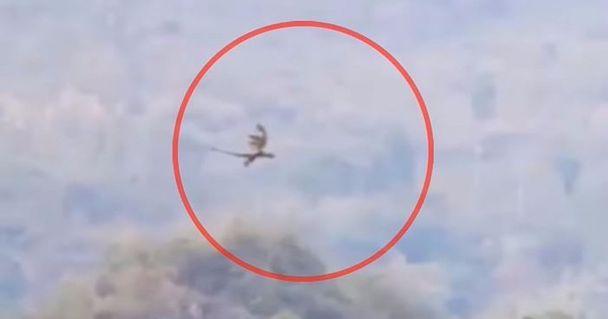 Watch: Is That a Flying Dragon Caught on Camera in China?