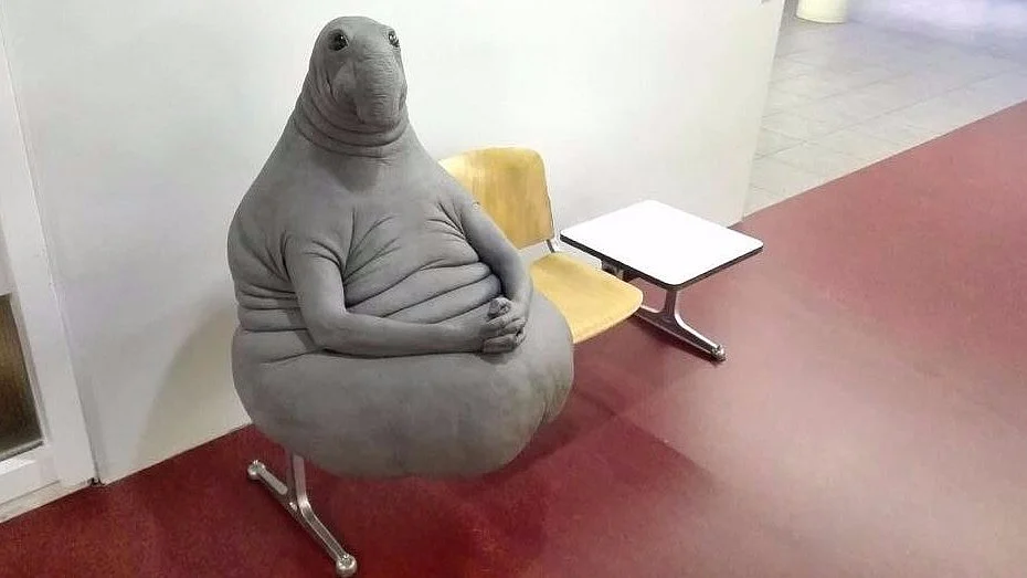 Russia’s Zhdun Should Visit India; Here, We Know All About Waiting