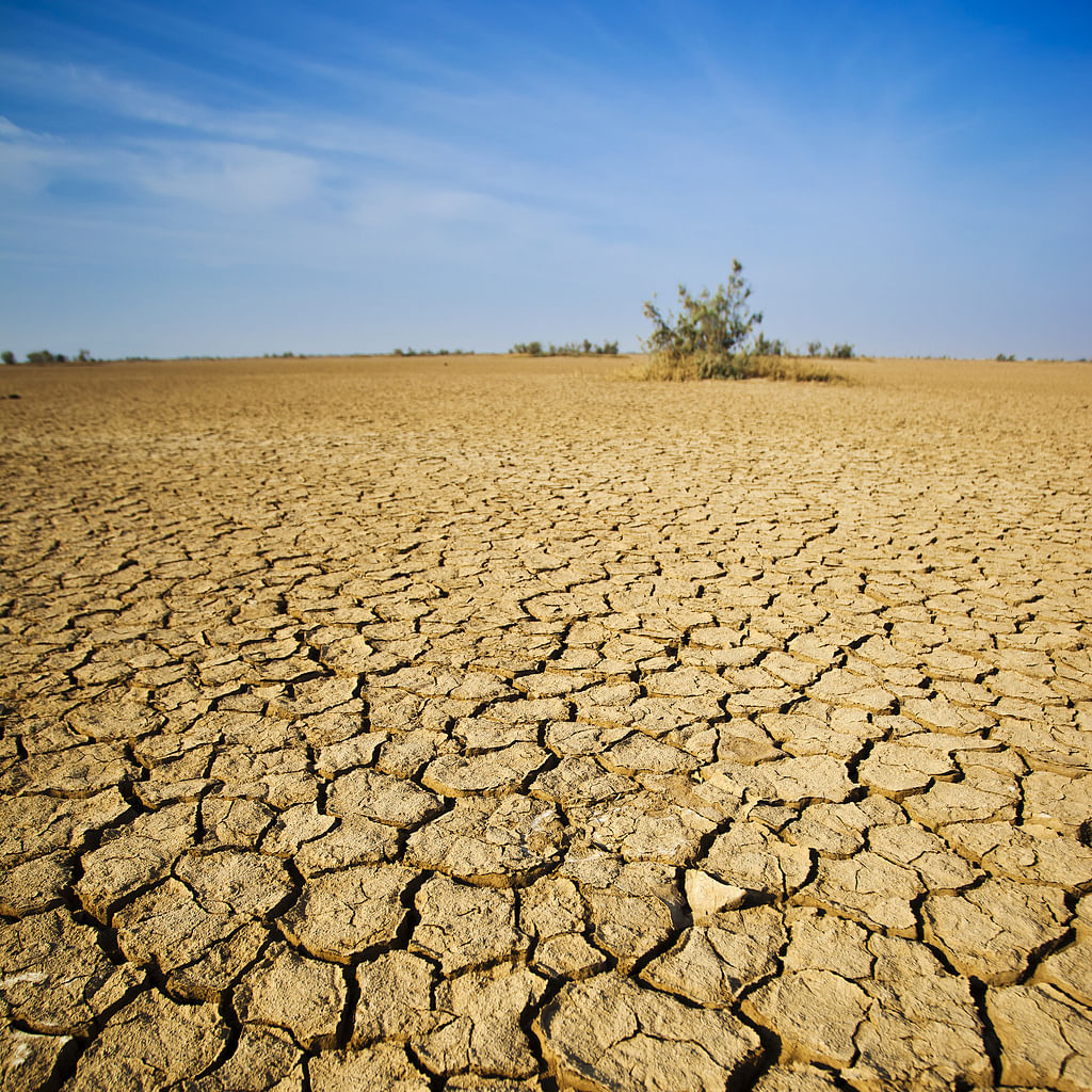 deadly-heatwaves-surge-in-india-much-worse-ahead-researchers