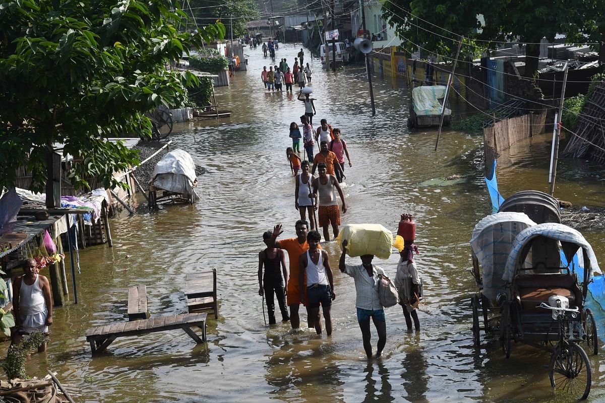 Bihar Flood Victims Loot Fodder to Save Starving Cattle