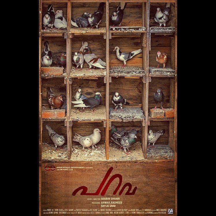 ‘Parava’ Review : Real, Raw and Definitely Flying High