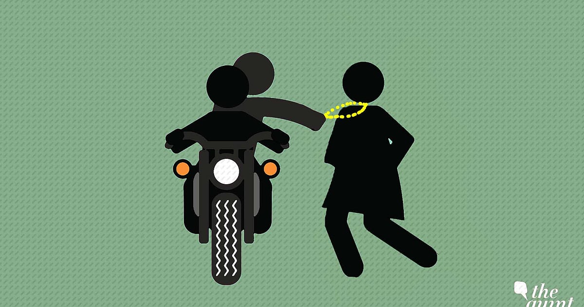 Woman Catches Hold of Chain Snatcher, Twitter Says ‘What a Lady!’