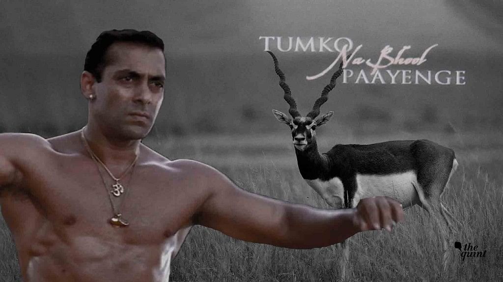 Salman Khan Is Guilty In The Blackbuck Case: Explained In His Movies’ Mems.