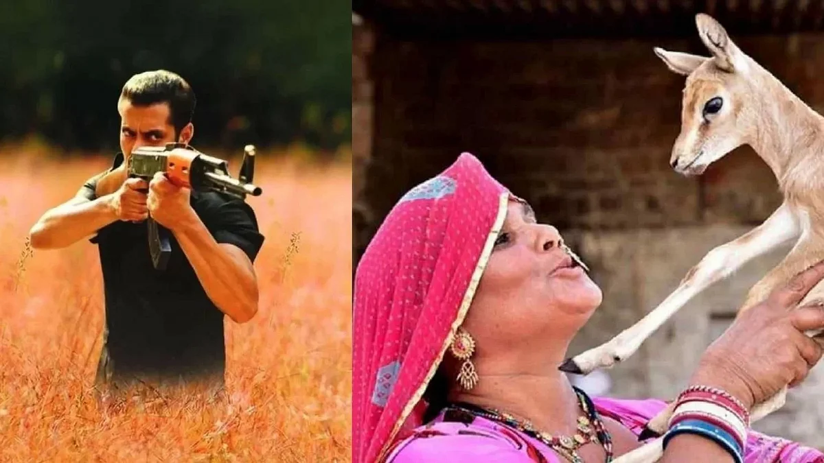 Bishnois News Latest Bishnois News, Top Stories, Articles, Photos