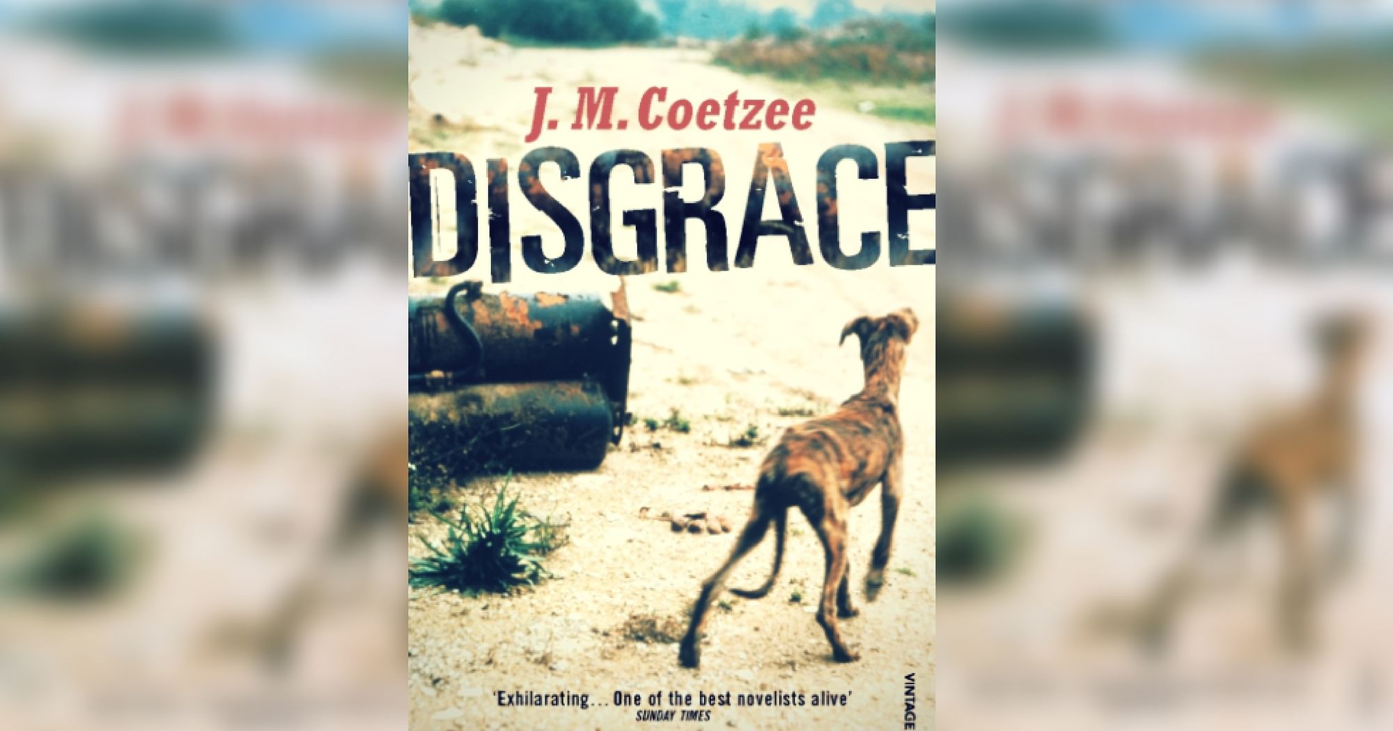 How the book ‘Disgrace’ is Relevant Today in the Light of #MeToo