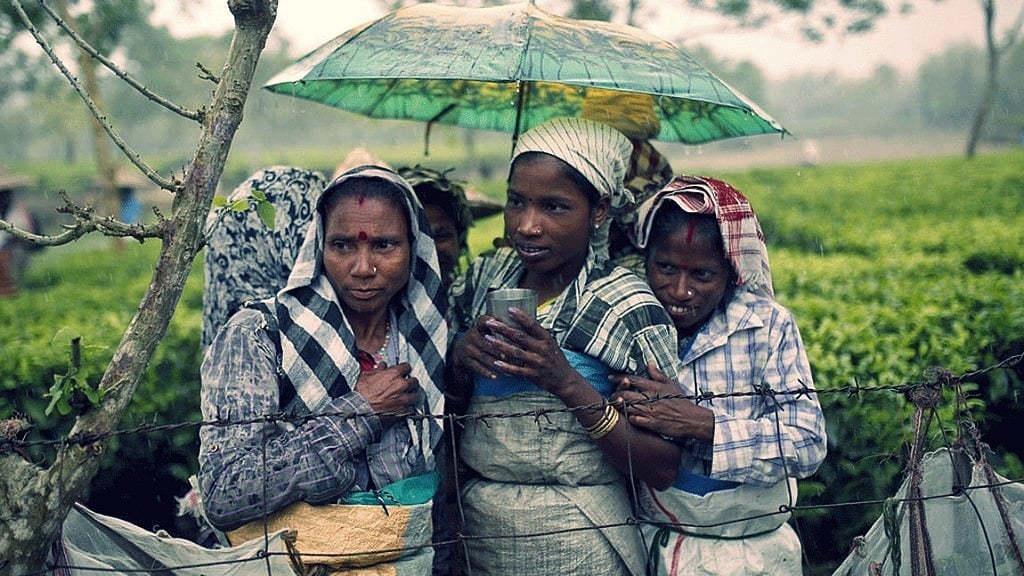 Scheduled Caste Scheduled Tribe
