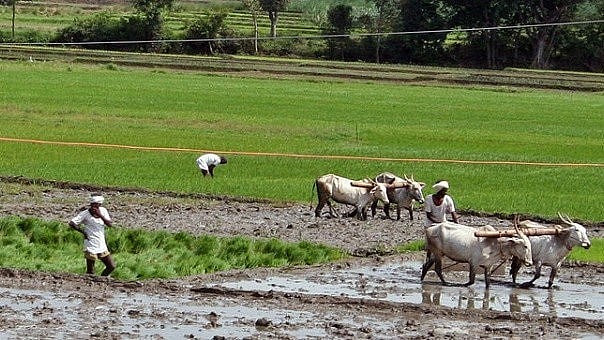 BENEFITS FOR FARMERS IN KARNATAKA intelligence overview