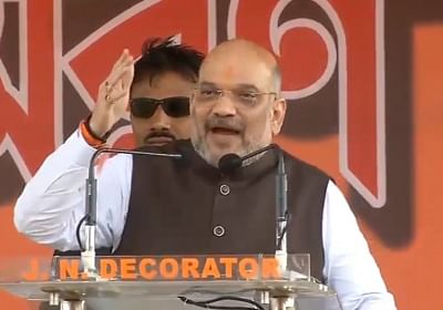 BJP Will Win 22 Plus Lok Sabha Seats In Bengal: Amit Shah