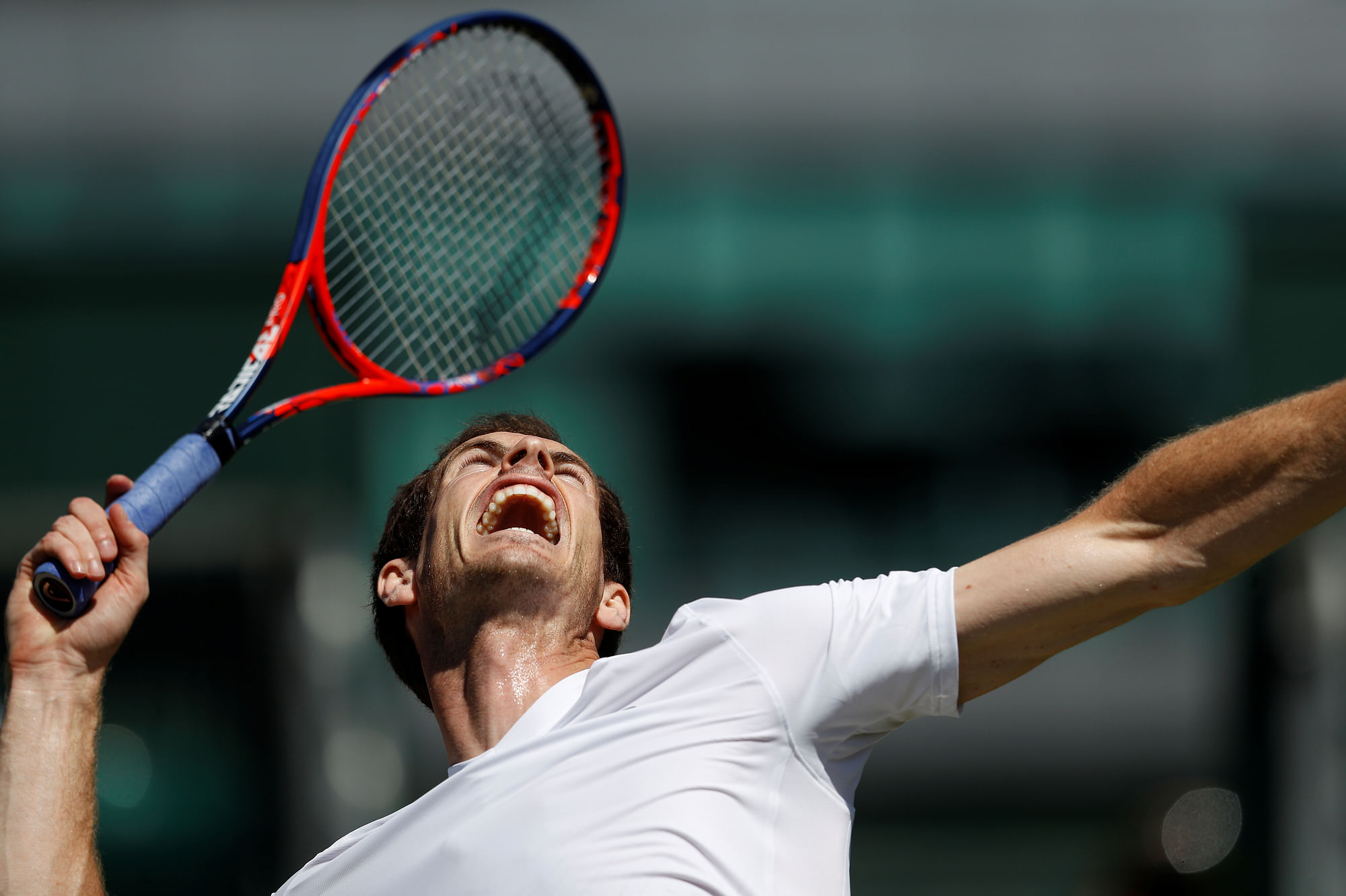 andy murray wimbledon shirt