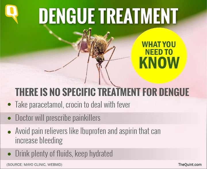 How Long Does it Take to Recover From Dengue?