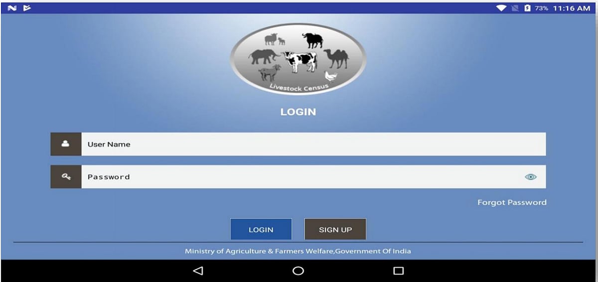 Livestock Census How Many Cows Does India Have? The Govt is Yet to