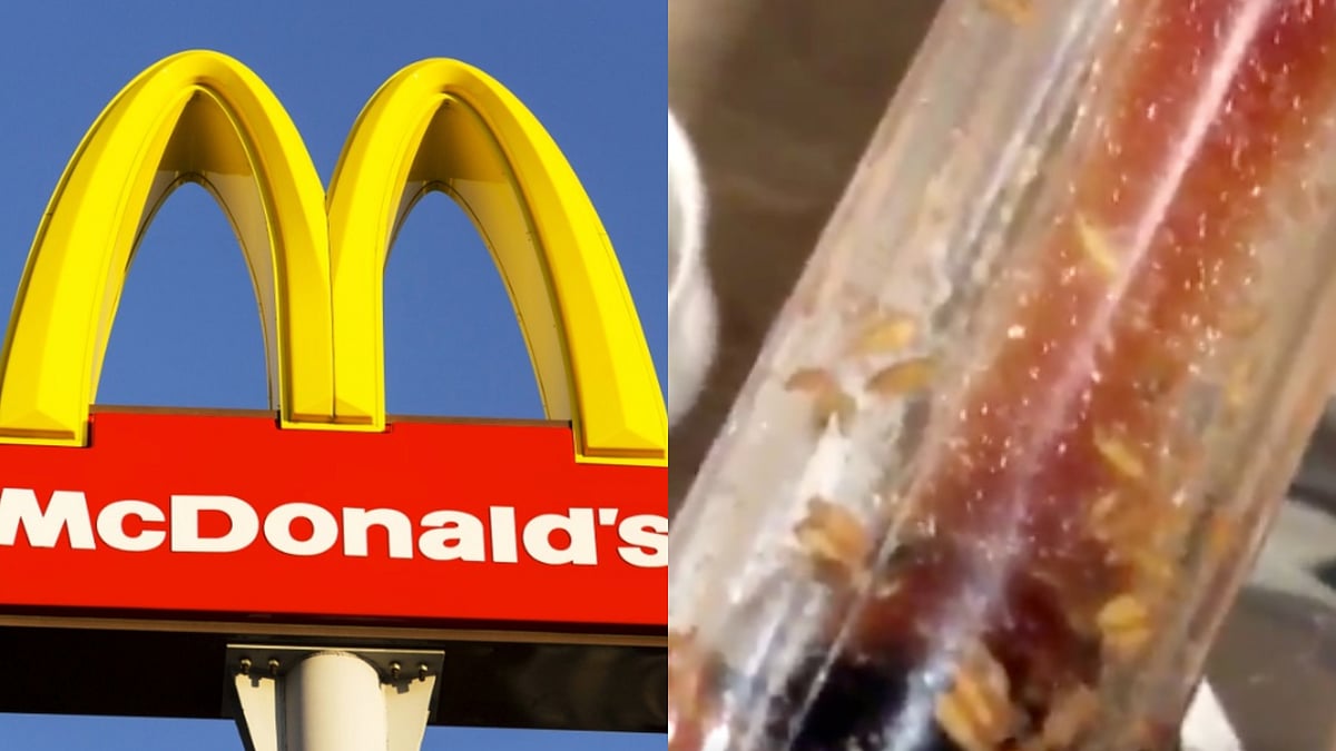 Maggots Found in Ketchup Bottle in a McDonald’s Outlet in the UK