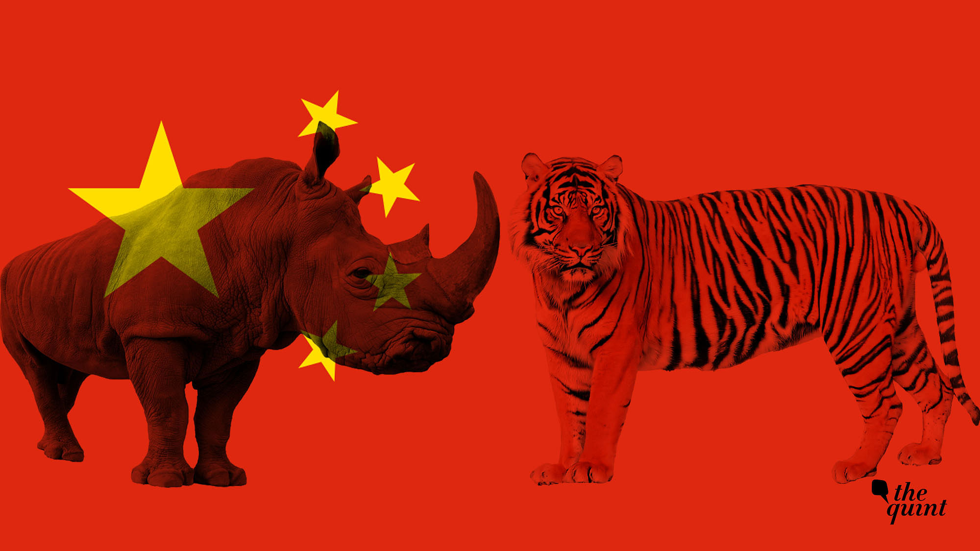 How a Decision by China Can Impact Tigers, Rhinos in India