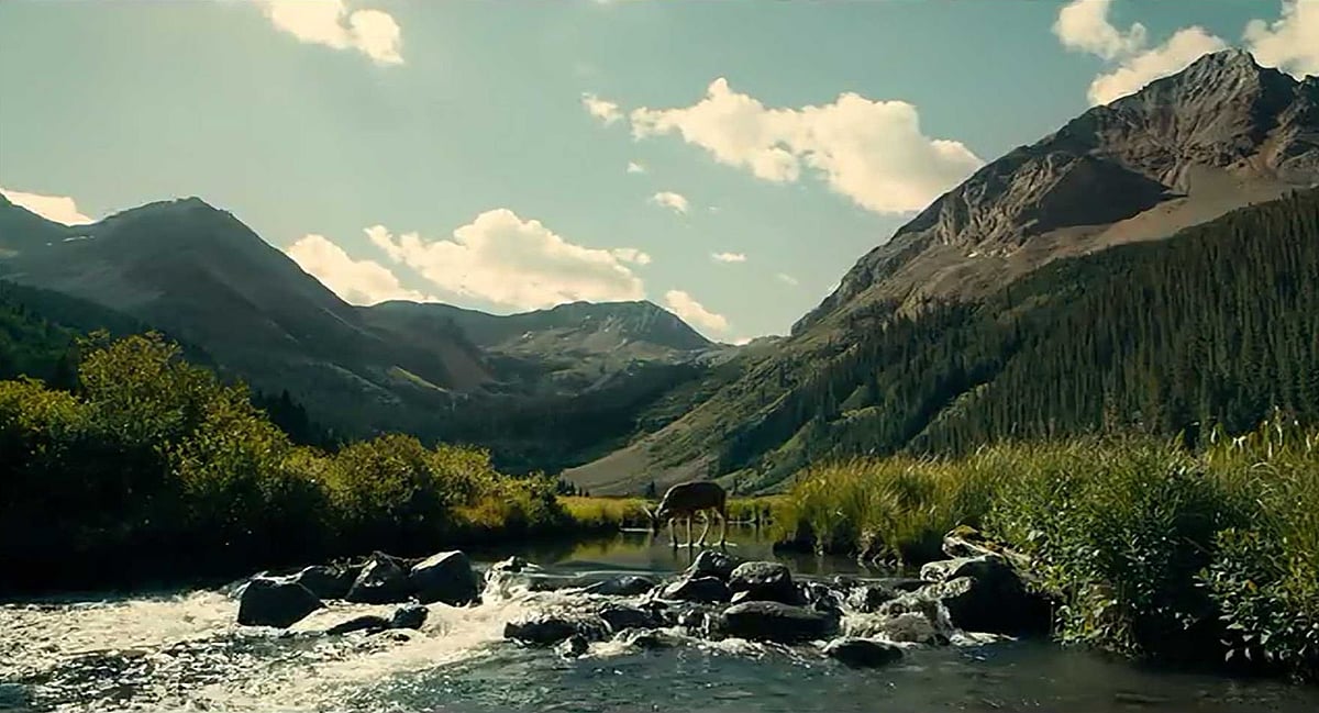 Netflix Movie Review ‘The Ballad of Buster Scruggs’ Is a Treatise on