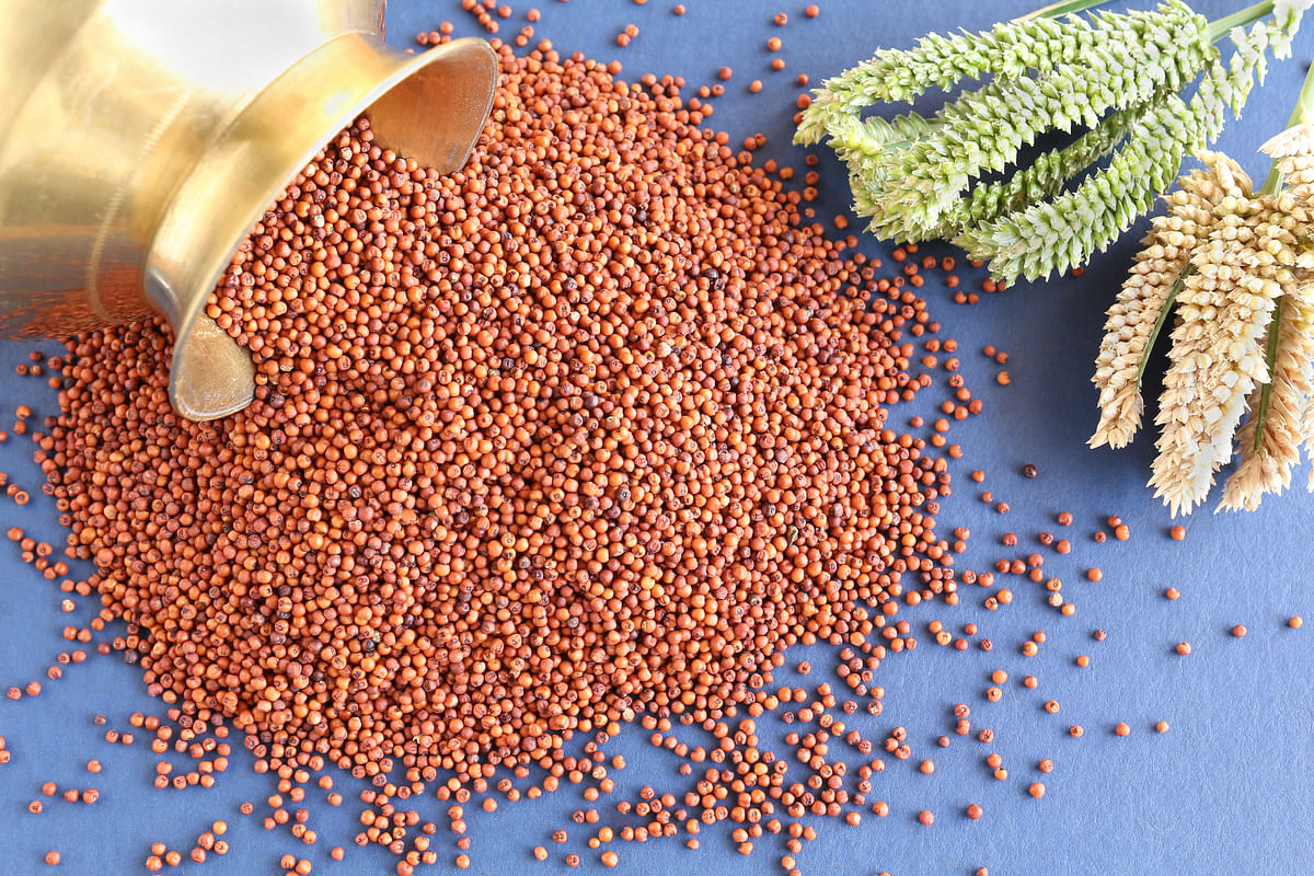 From Weight Loss To Stronger Bones 5 Health Benefits of Millets