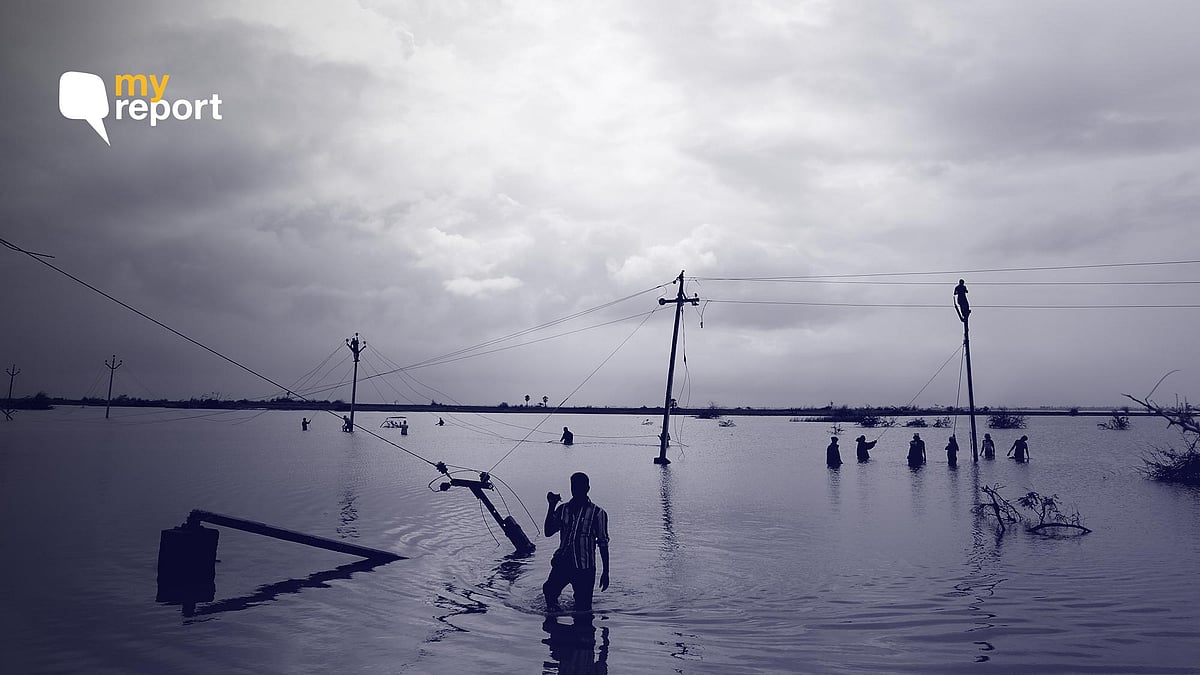 Cyclone Gaja in Tamil Nadu: Life in the Cauvery Delta After Cyclone Gaja