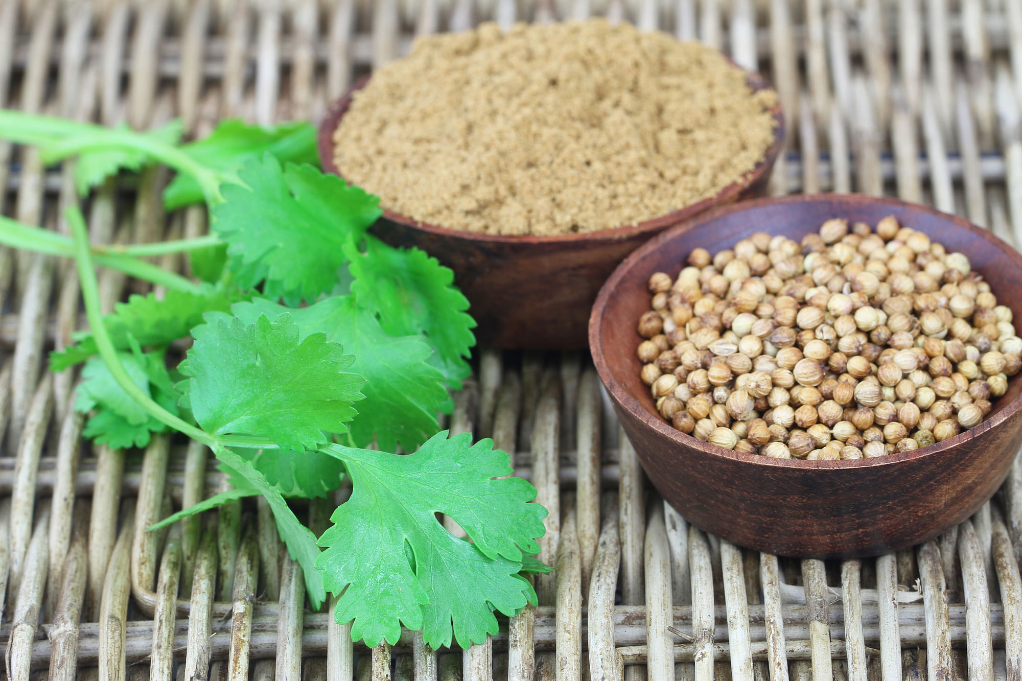 Health Benefits of Coriander Seeds From Digestion to Improving