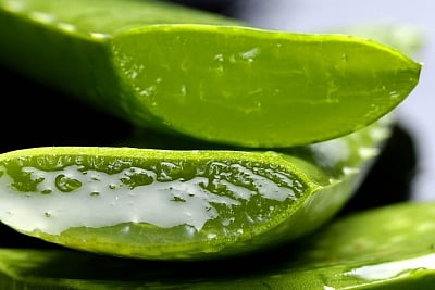 Care For Your Hair With Aloe Vera Coconut Oil