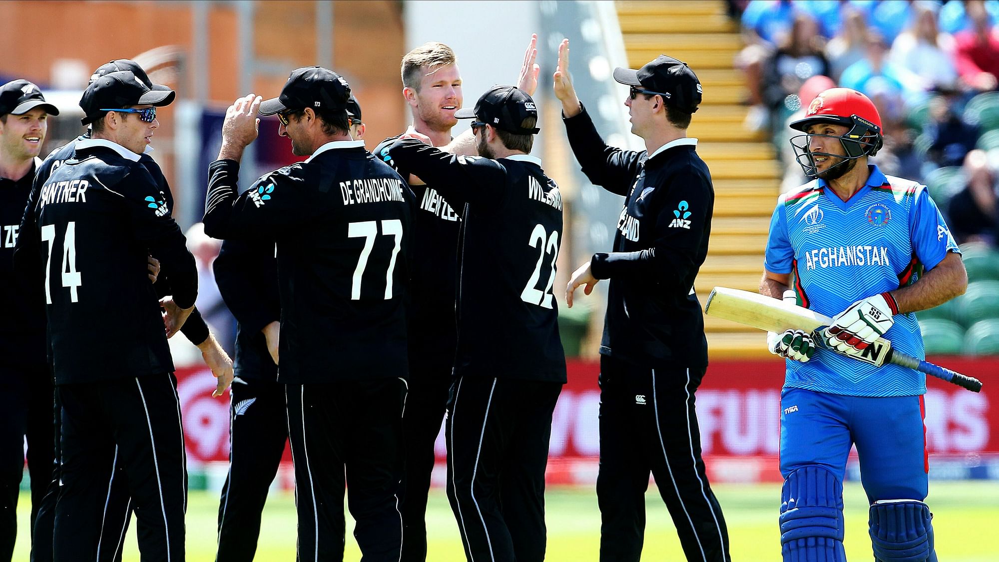 New Zealand vs Afghanistan, Cricket World Cup 2019 Match Highlights