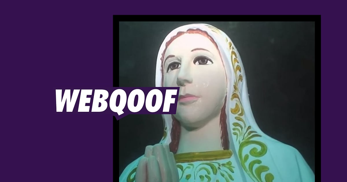 Indian Ocean Virgin Mary Statue Found by a Group of Divers While