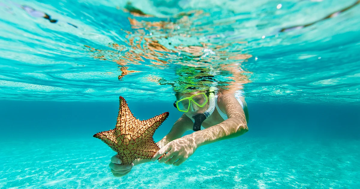 Best snorkel mask