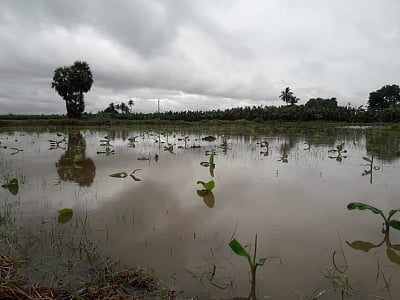 Delayed monsoon leads to 40% deficit rainfall in Telugu states