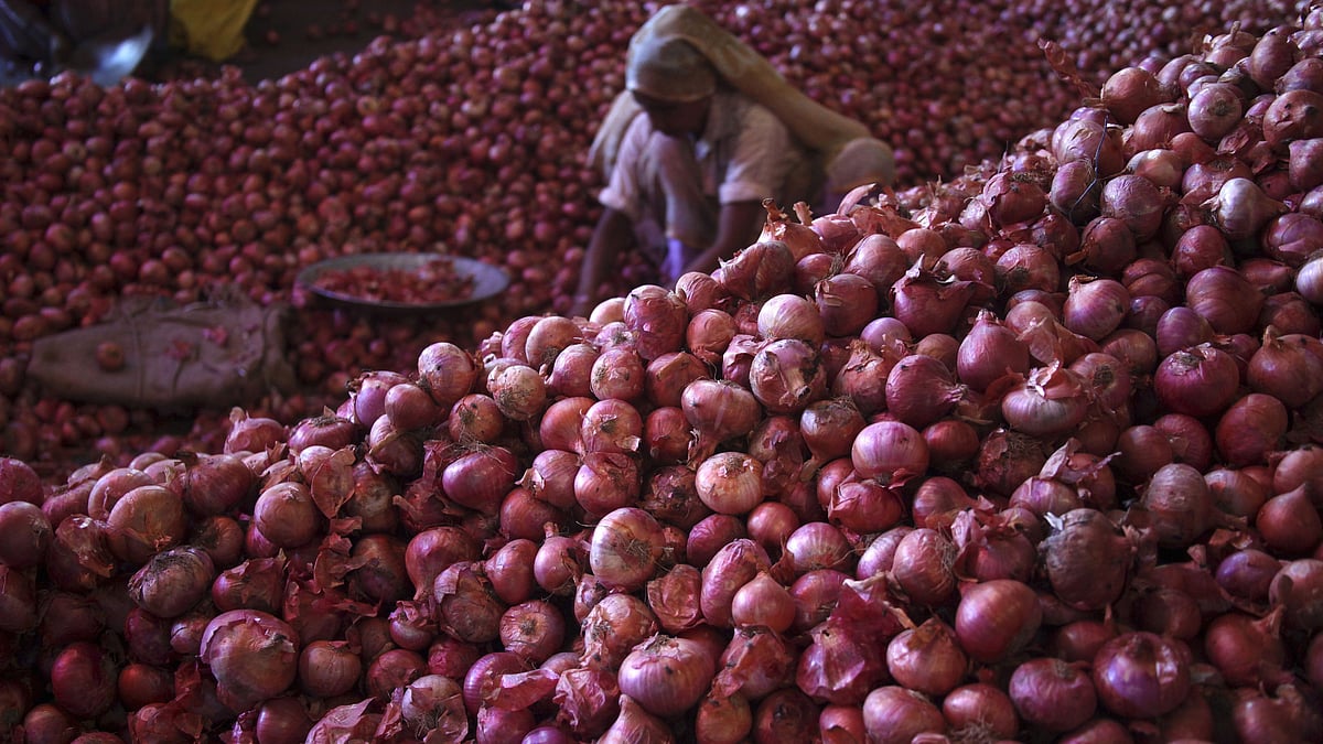 Onion Prices at Highest This Year, Rs 2,200/Quintal in Maharashtra’s