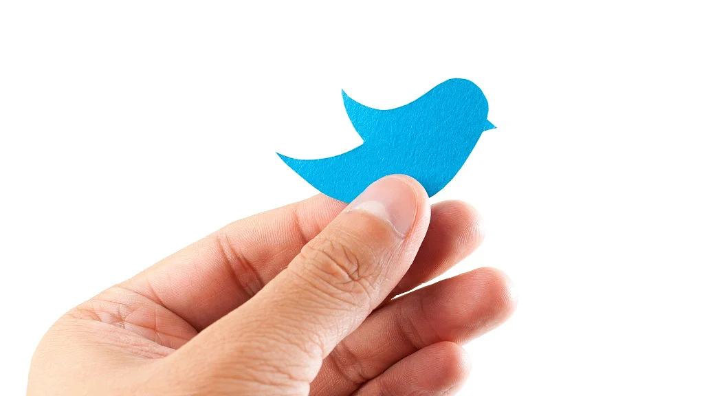 Twitter Fake Accounts Removed