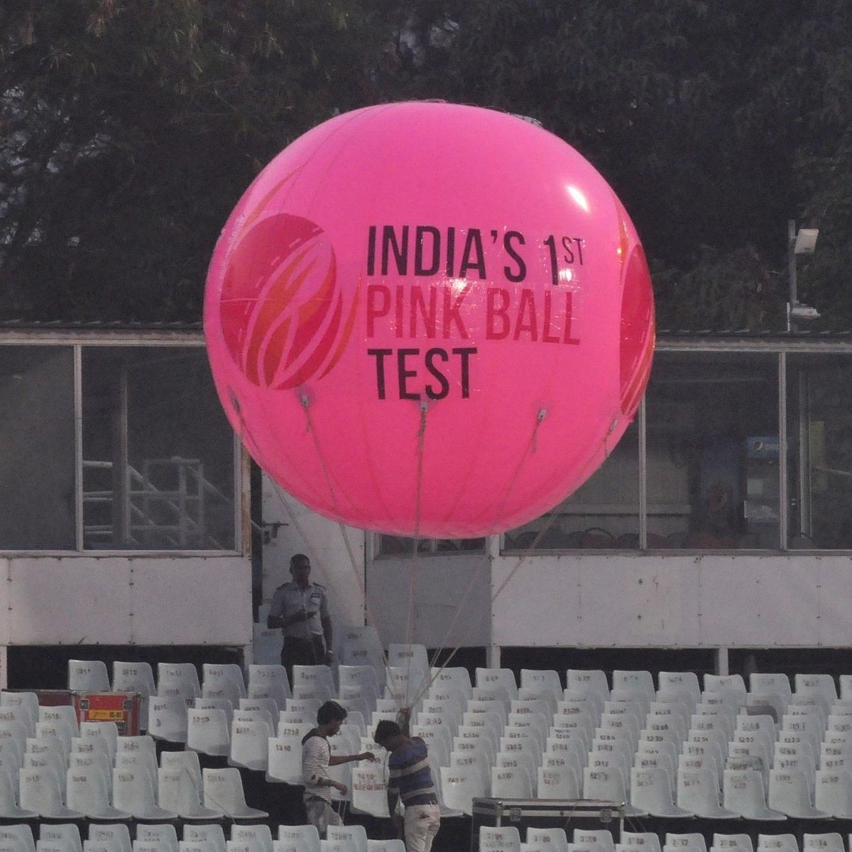india-s-first-day-night-test-news-latest-news-today-s-top-trending
